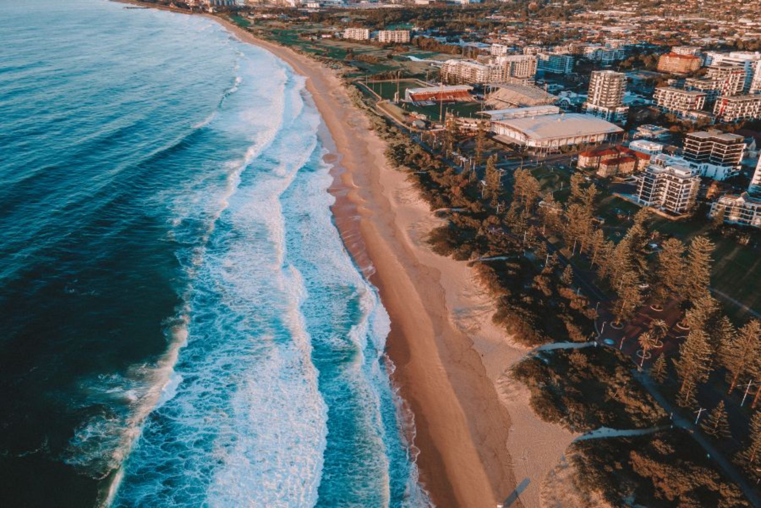 491 NSW | unique Education and Migration